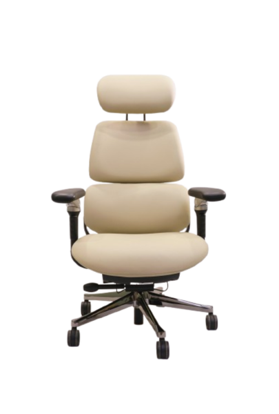 Lexus – Xylus Chairs
