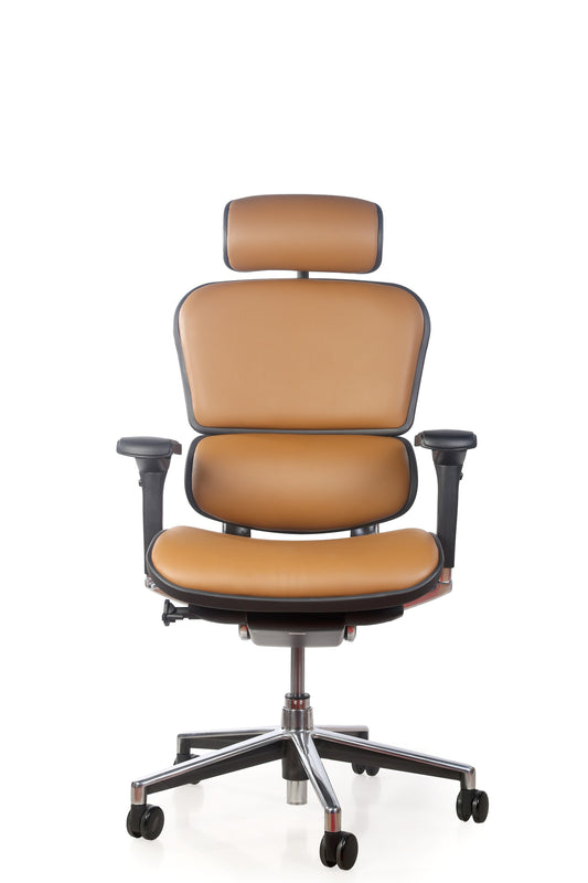 Ergohuman Genuine Leather Chair