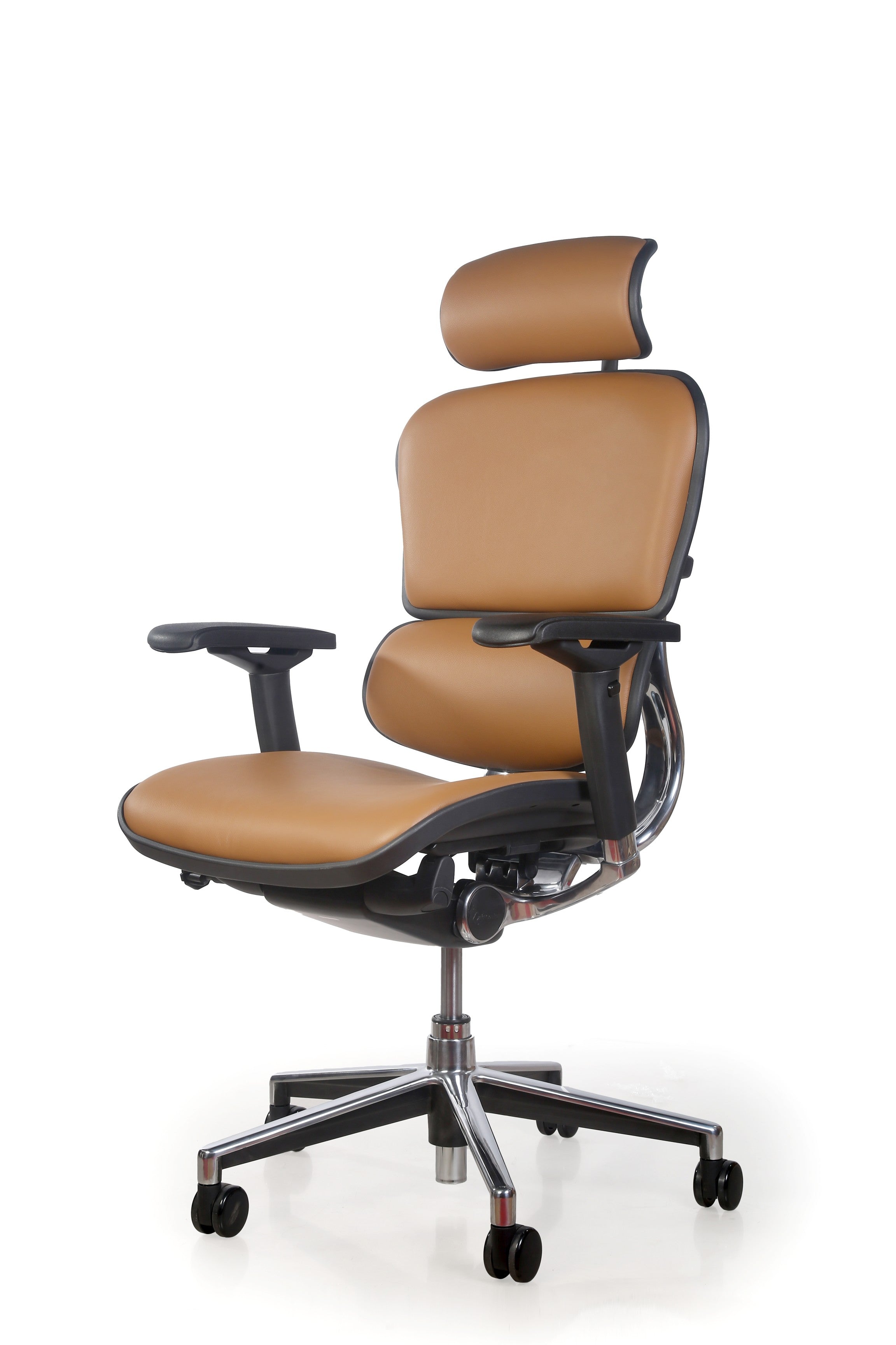 Ergohuman Genuine Leather Chair