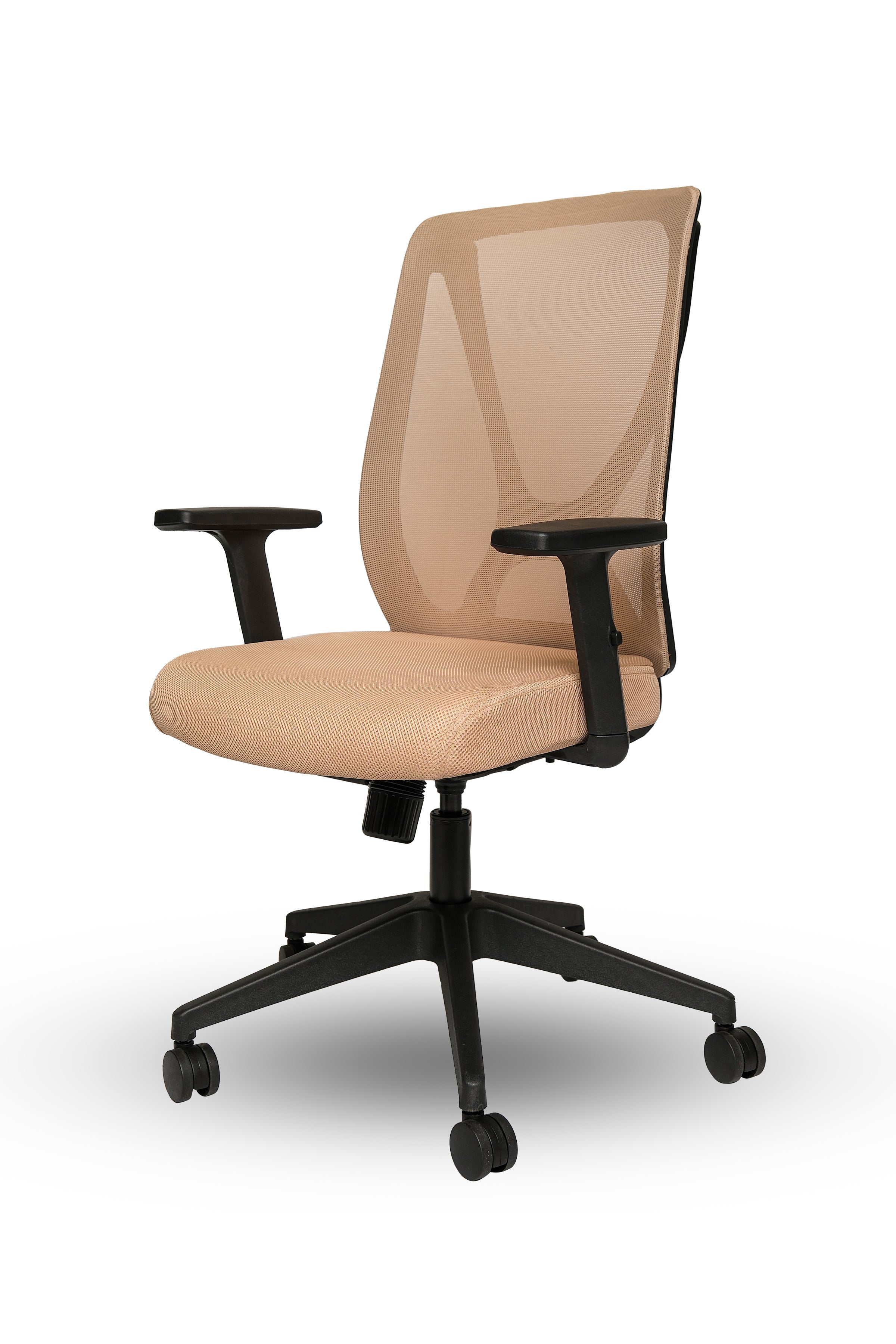 Adjustable Lumbar Support Chair