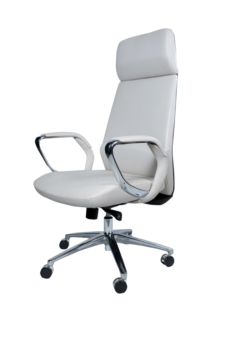 posture support chair for work
