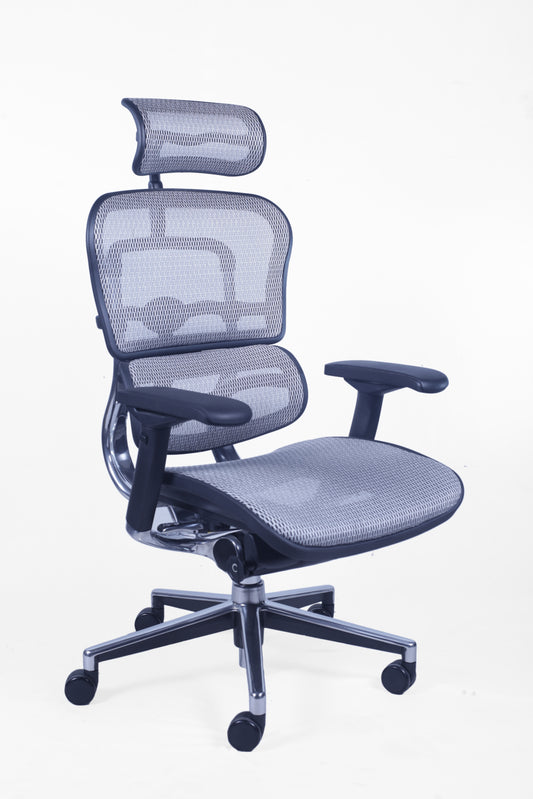 Ergonomic Human Mesh Chair