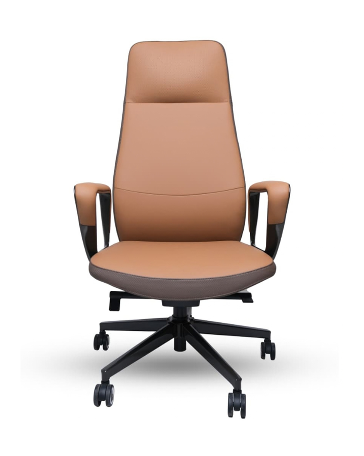 ARISTA HB