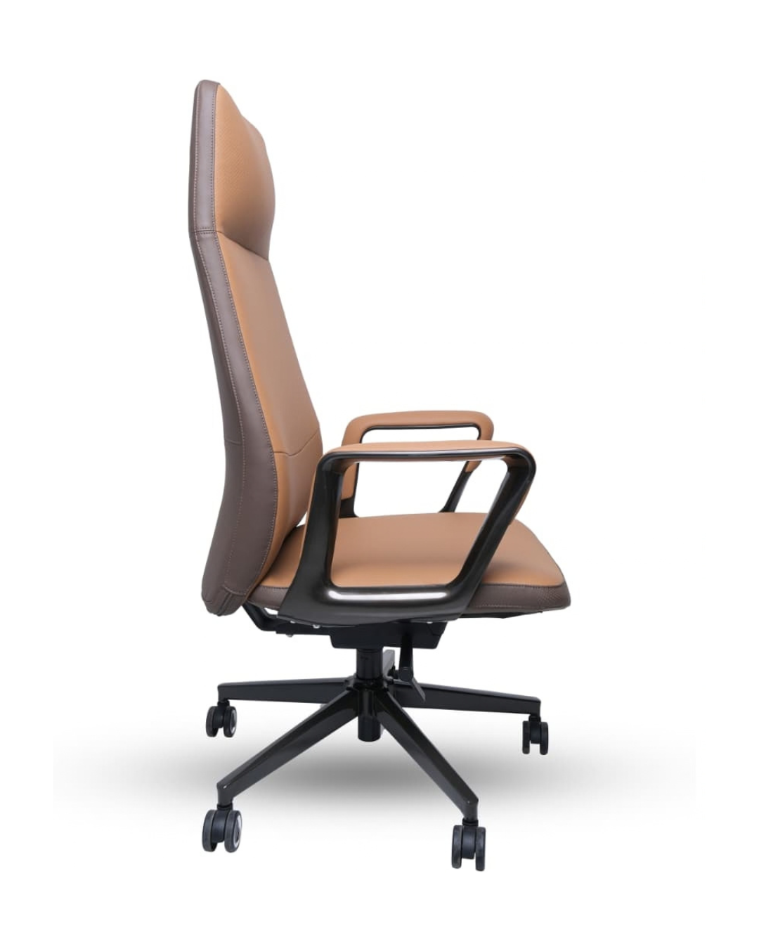 ARISTA HB