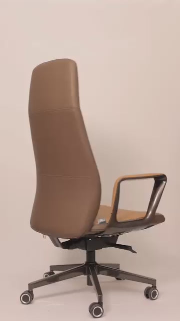 ARISTA HB